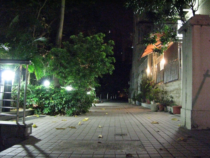 a brick path at night in front of a building with lights