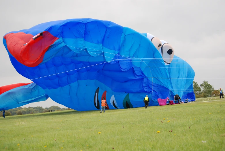 blue fish balloon sitting in a field with people looking on