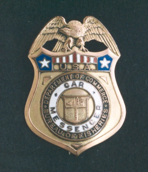 the us air force car service emblem is displayed