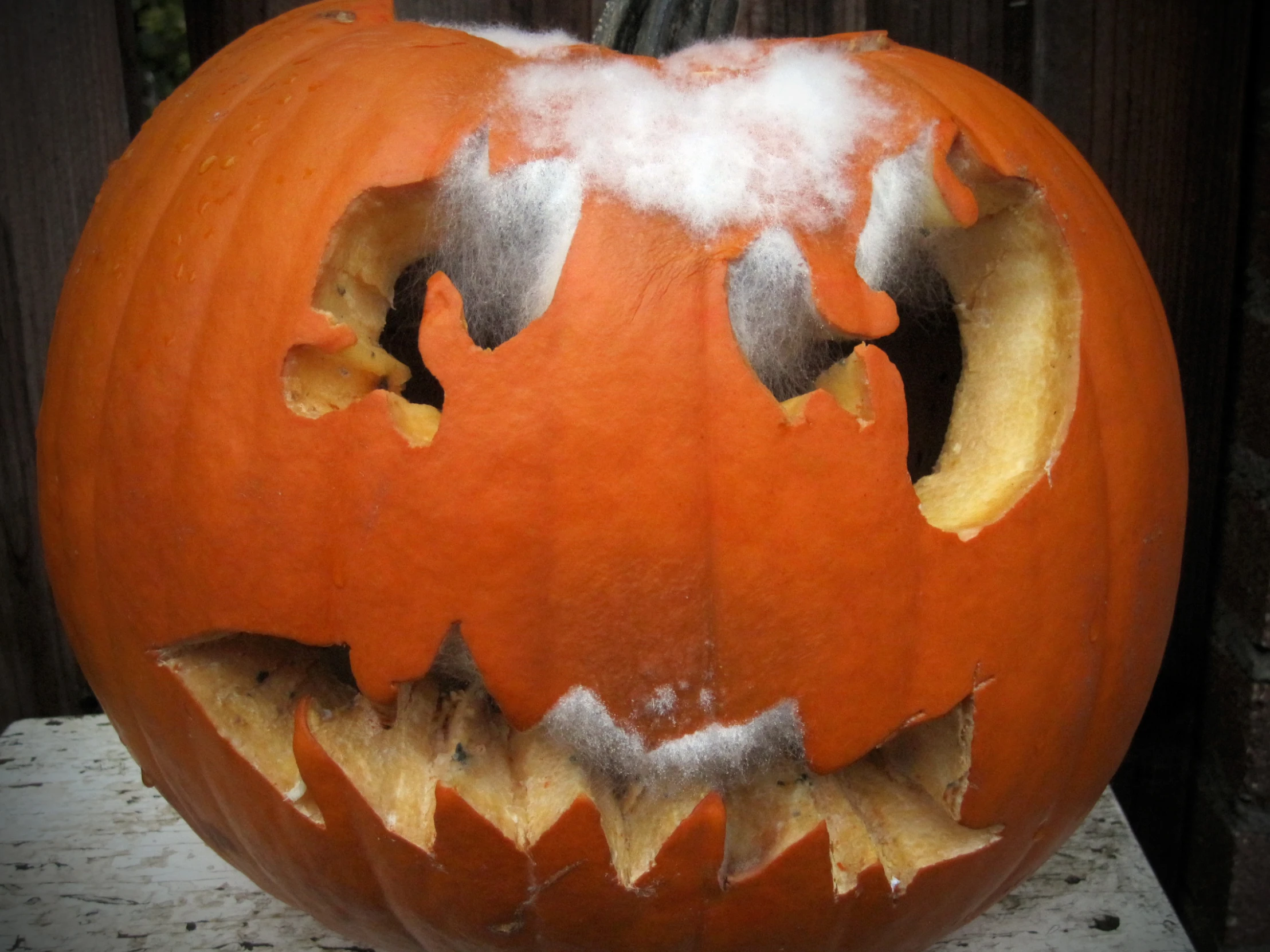 there is a large pumpkin that has the mouth wide open