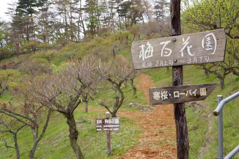 some signs sitting on the side of a dirt road