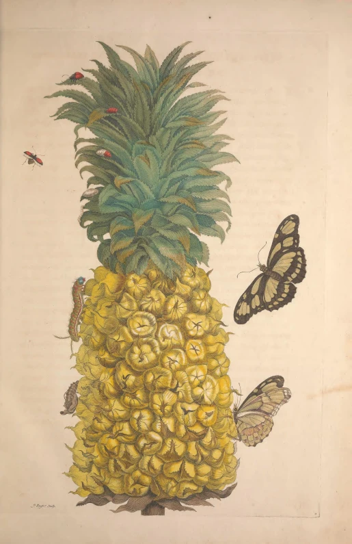 a pineapple with yellow flowers and erflies on top