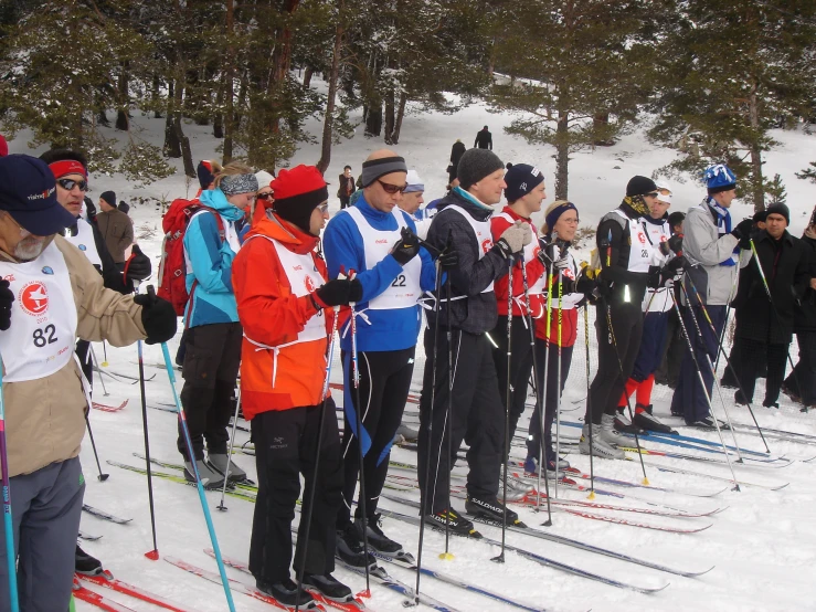 people on skies stand at attention during an event