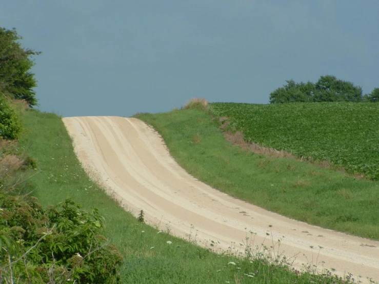 an old dirt road on the side of a rural farm