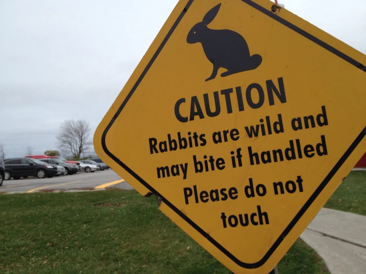 a caution sign that says rabbits are wild and may bite if handled please do not touch