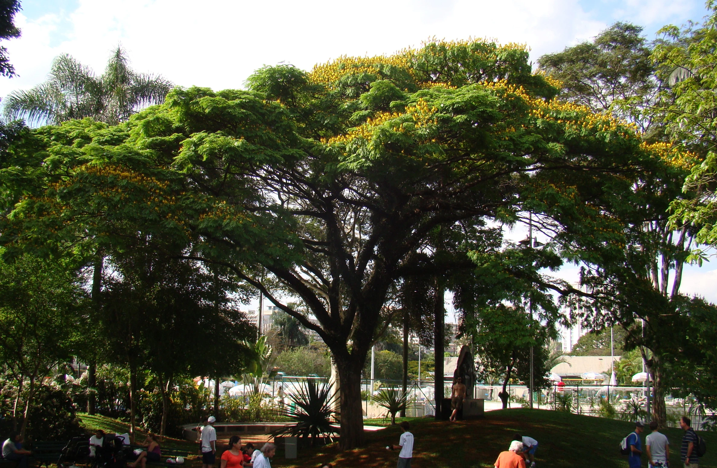 people walking around in the park during the day