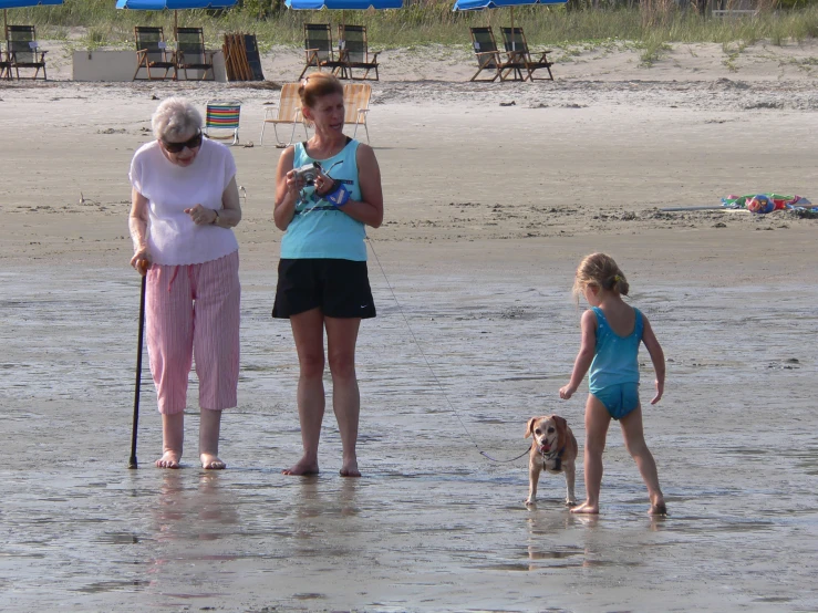 three people stand on the beach with one dog