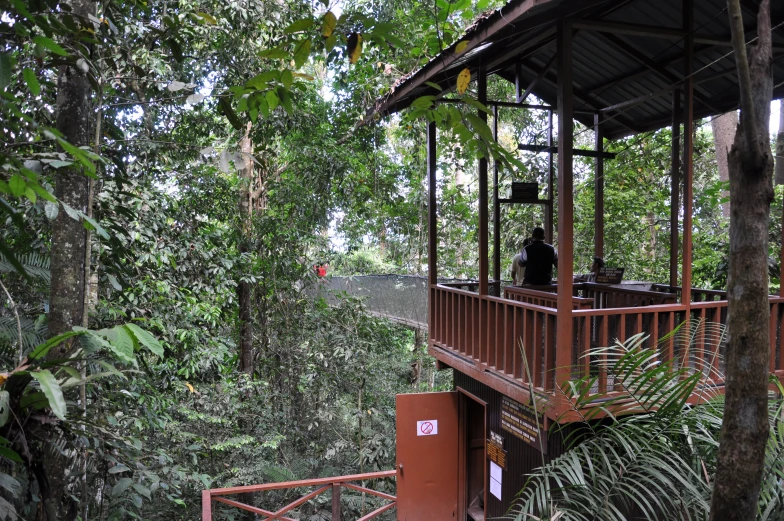 a view into the woods looking down onto a wooded area