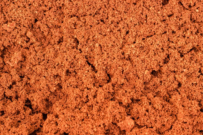 an orange substance is seen in the dirt