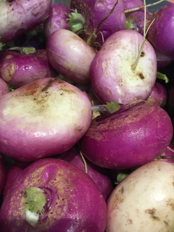 the close up of some turnips sitting together