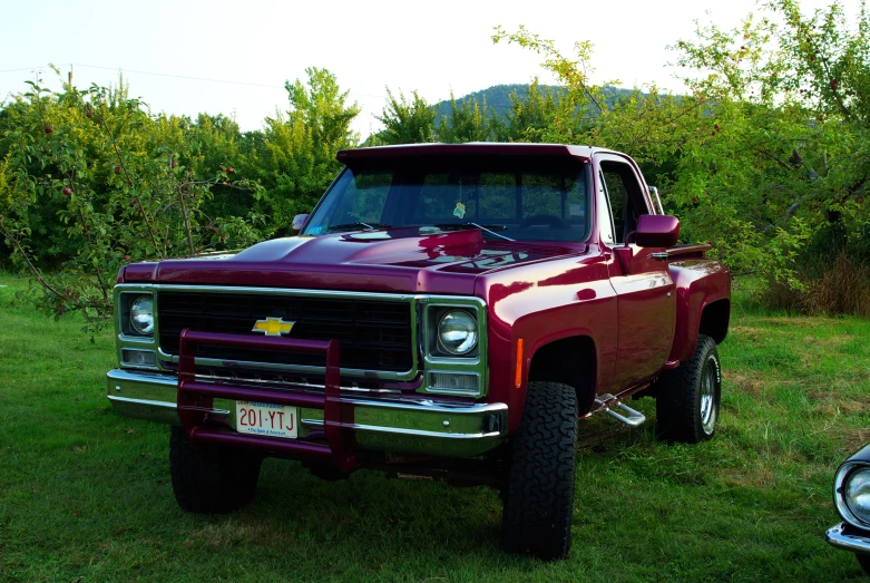 an older model chevrolet truck parked on grass