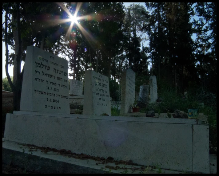 the sun shines brightly over headstones in an urban cemetery