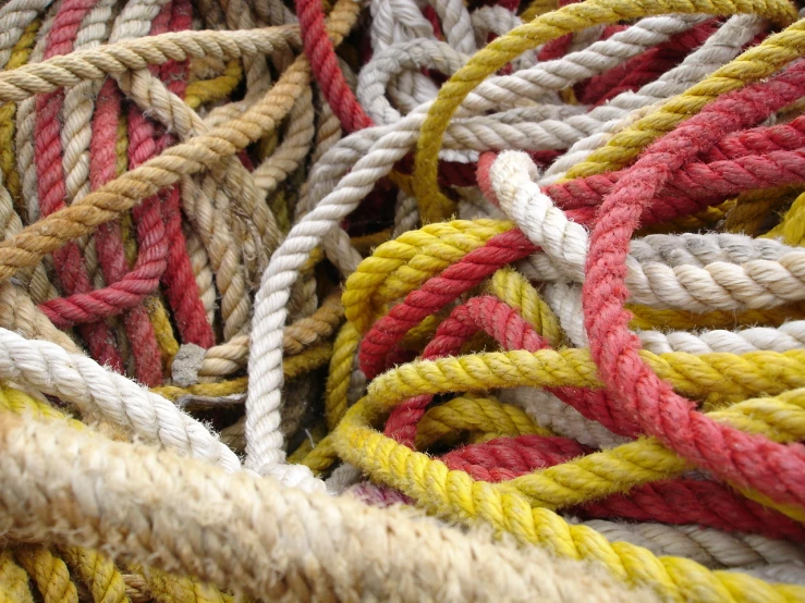 multiple ropes in different colors with one red and the other yellow