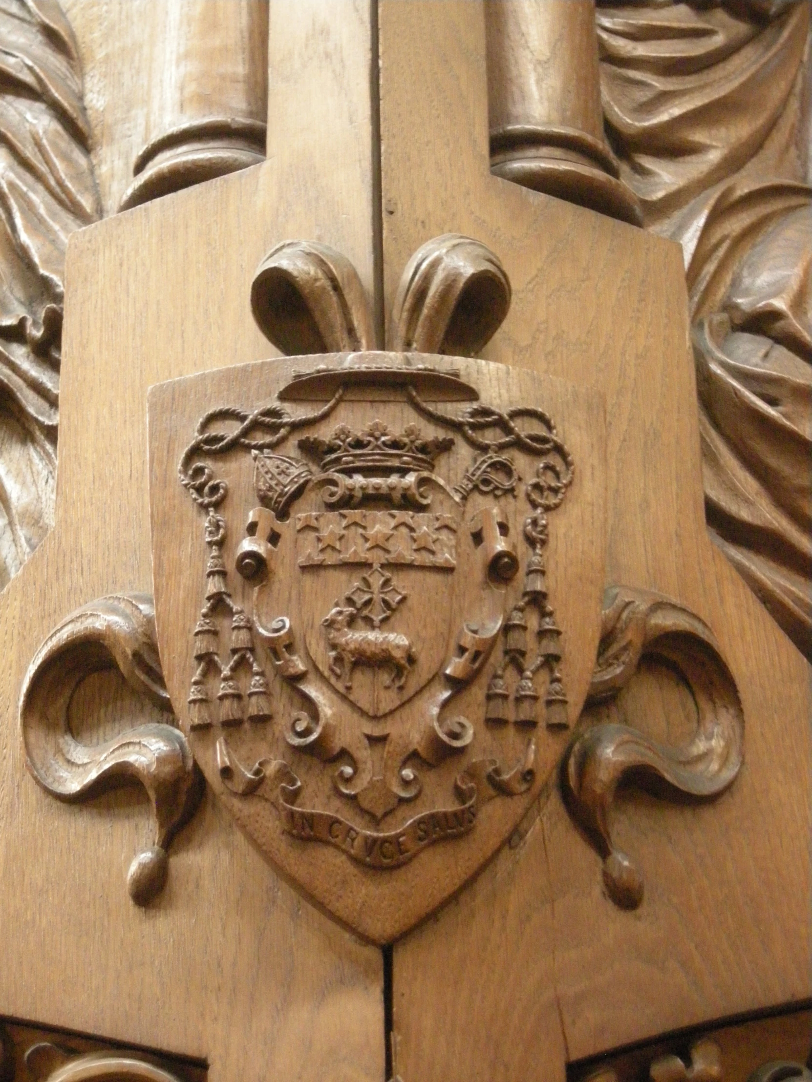 a close up of a coat of arms on a wooden door