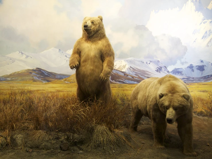 two bears on a display in the grass near mountains