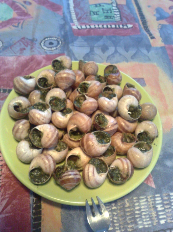 a plate of shells is on a patterned tablecloth