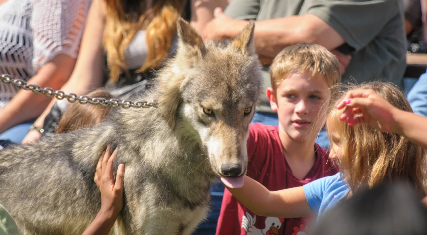 a  and girl petting a wolf