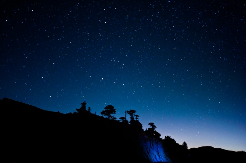 stars and dark trees silhouetted against the night sky