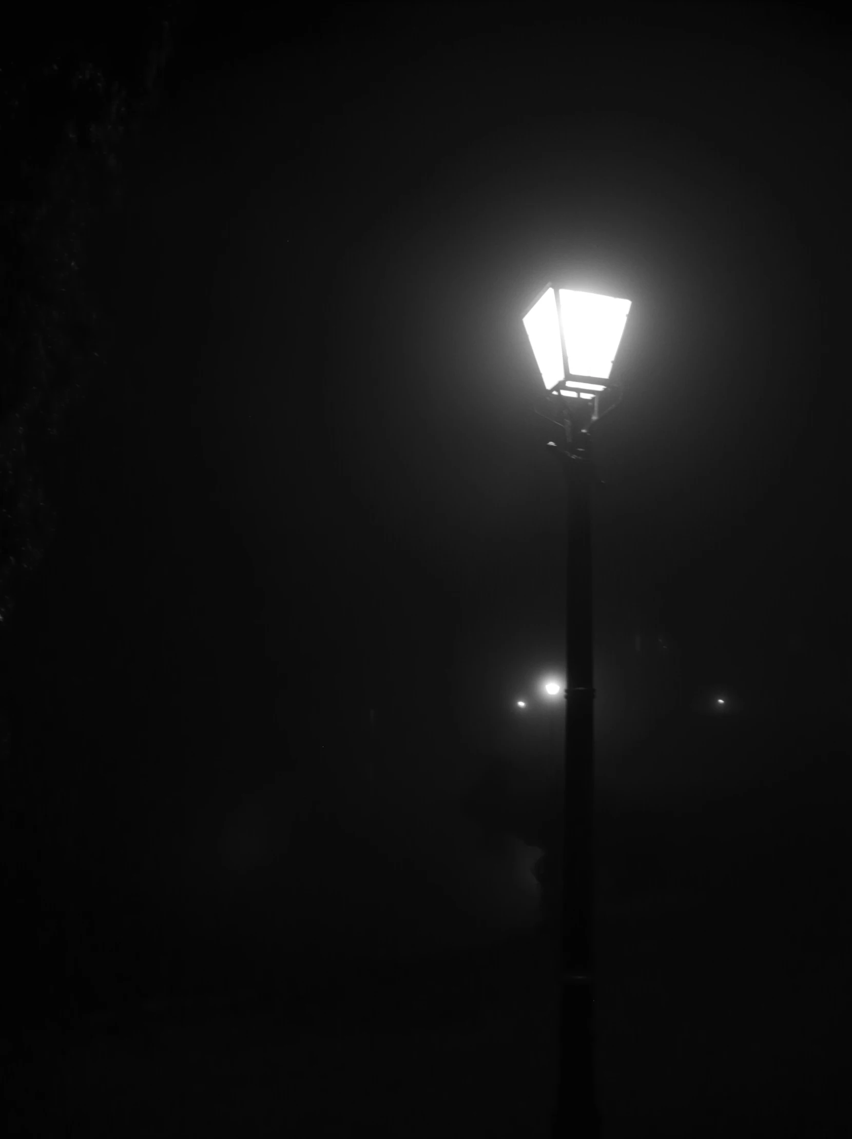 the fog is covering a small street light