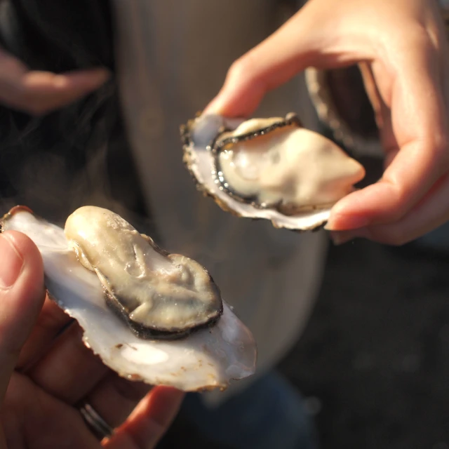 two oysters being held in the palm of two other persons