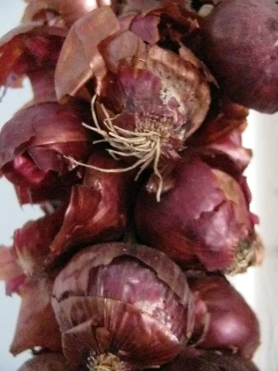 purple onions are piled up in a pile