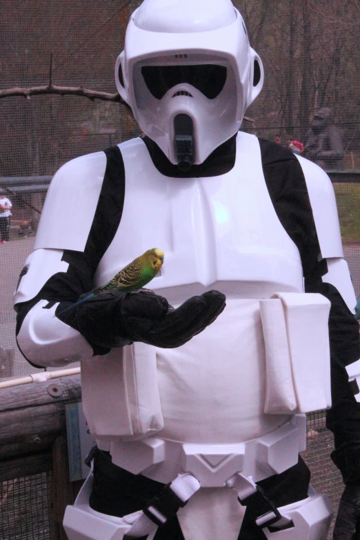 a star wars trooper dressed up like a bird