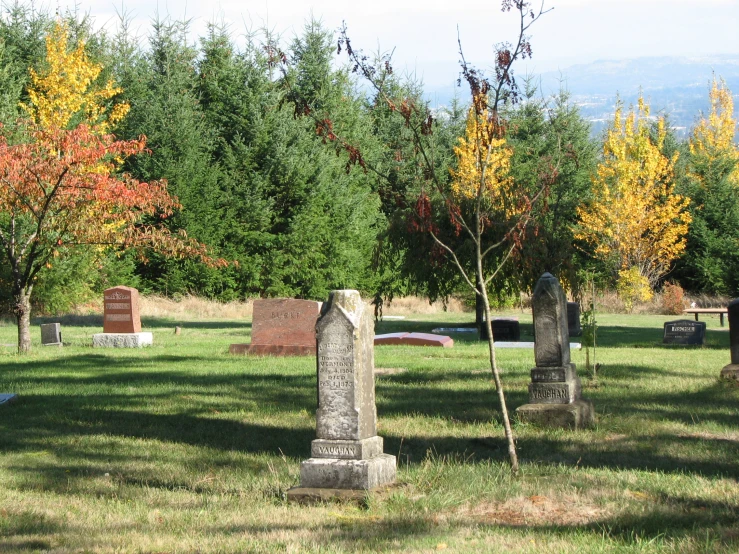 a cemetery with tombstones in the grass