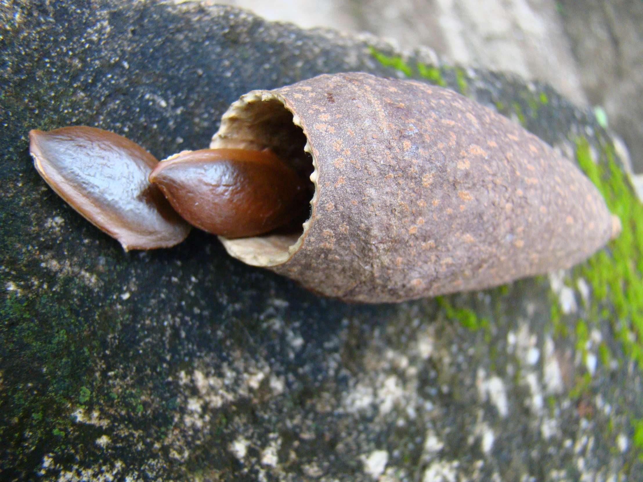 an object sits on the ground in a cave