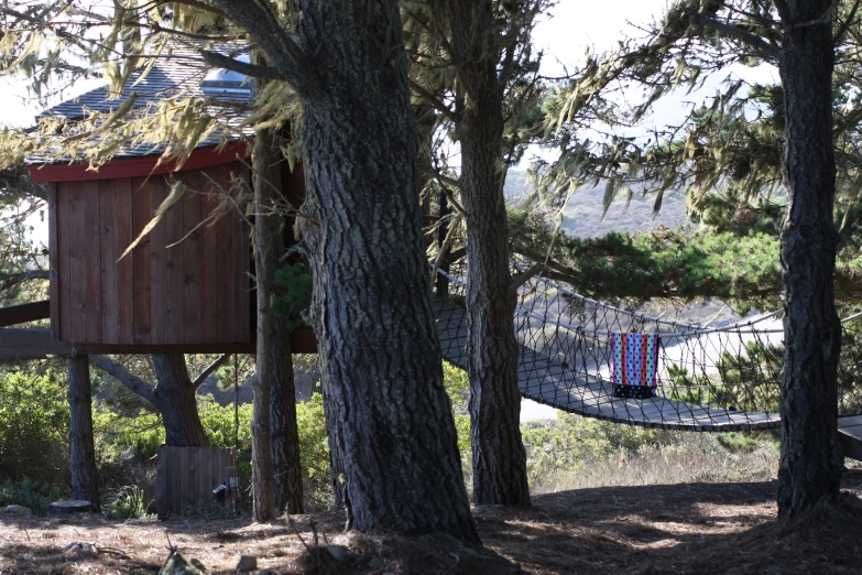 a hammock set up in the trees with hammocks