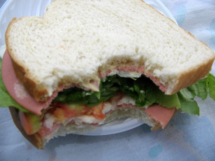 a half eaten sandwich on a plate with blue cloth