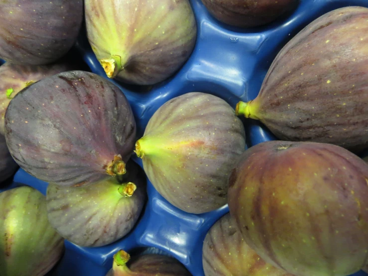 there are many figs in a blue bowl