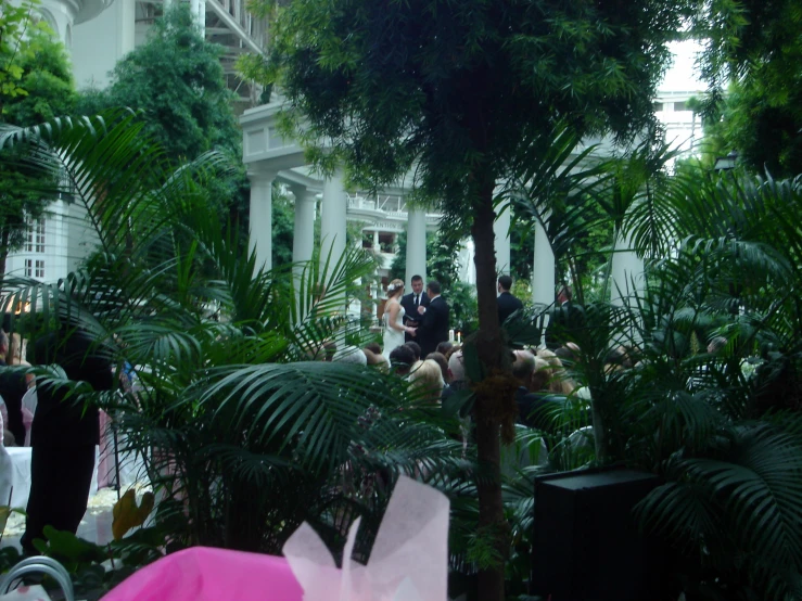 a bride and groom in the middle of a room of palm trees