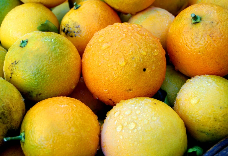 the group of ripe citrus fruit is piled on top of each other