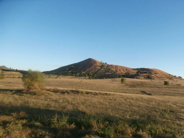 a field with some trees and a mountain in the distance