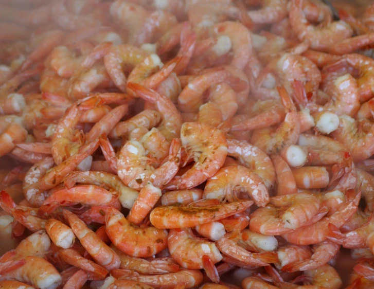 a bunch of shrimp is cooked in a pan