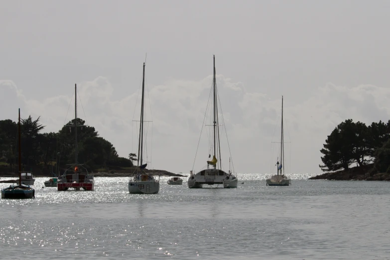 many sail boats are in the harbor on a cloudy day