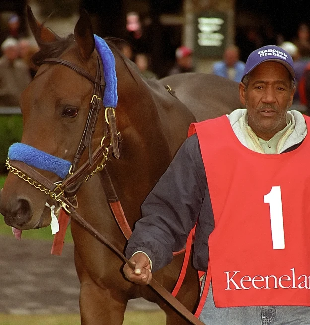 a man that is standing next to a horse