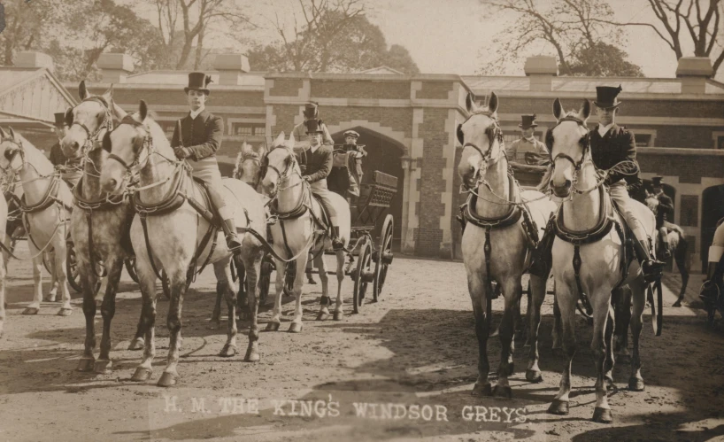 a line of horses with men in the middle and some on horseback