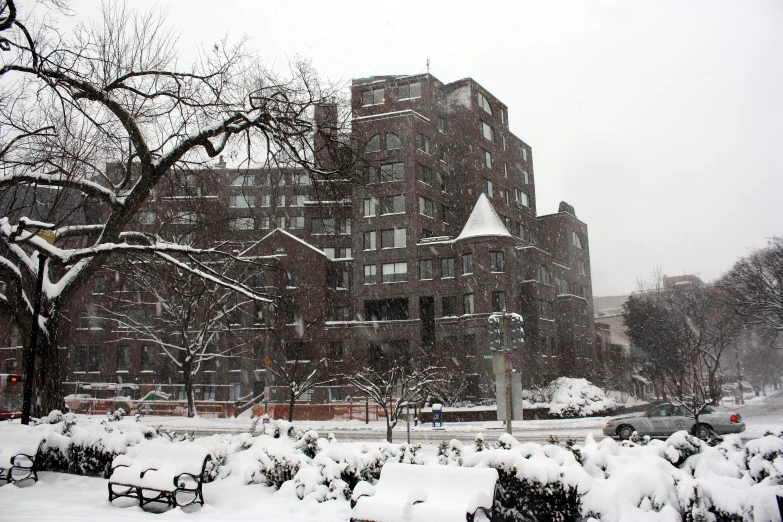 snow is falling off of trees outside a large building