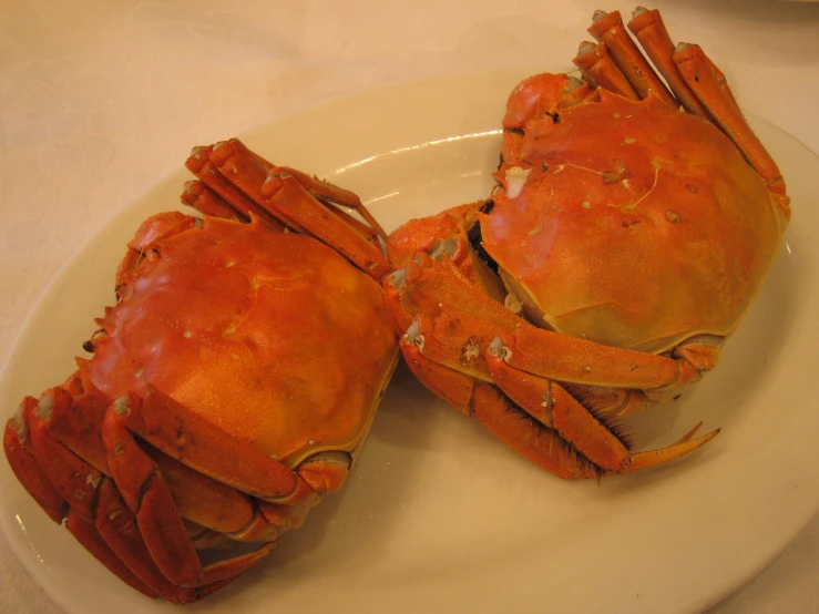 cooked steamed crabs are ready to be eaten