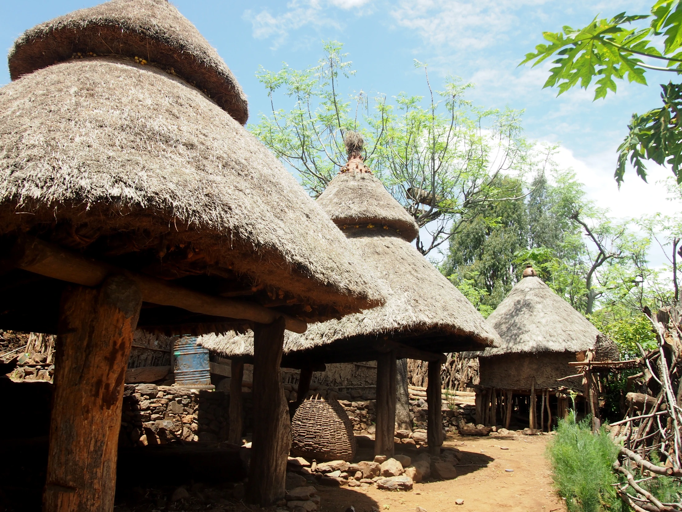 a number of huts with thatched roofs and trees