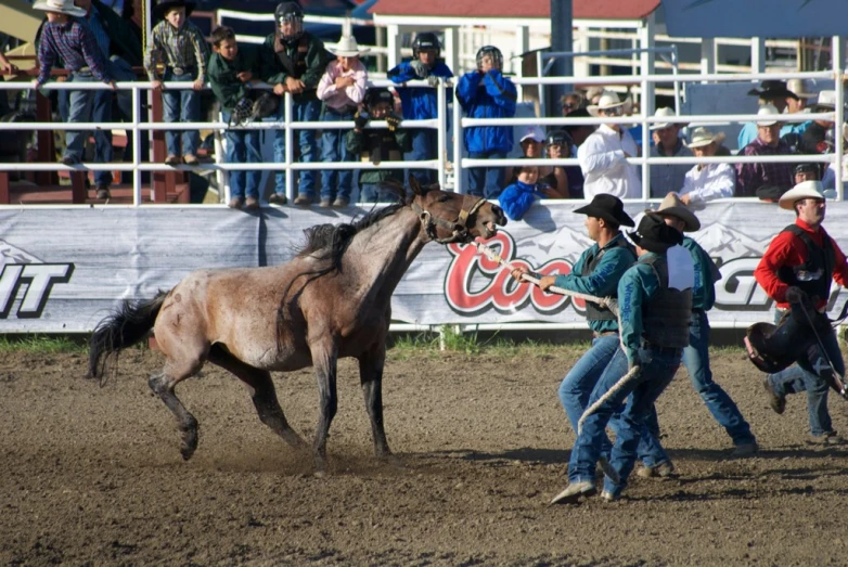 a couple of people and a horse at a rodeo