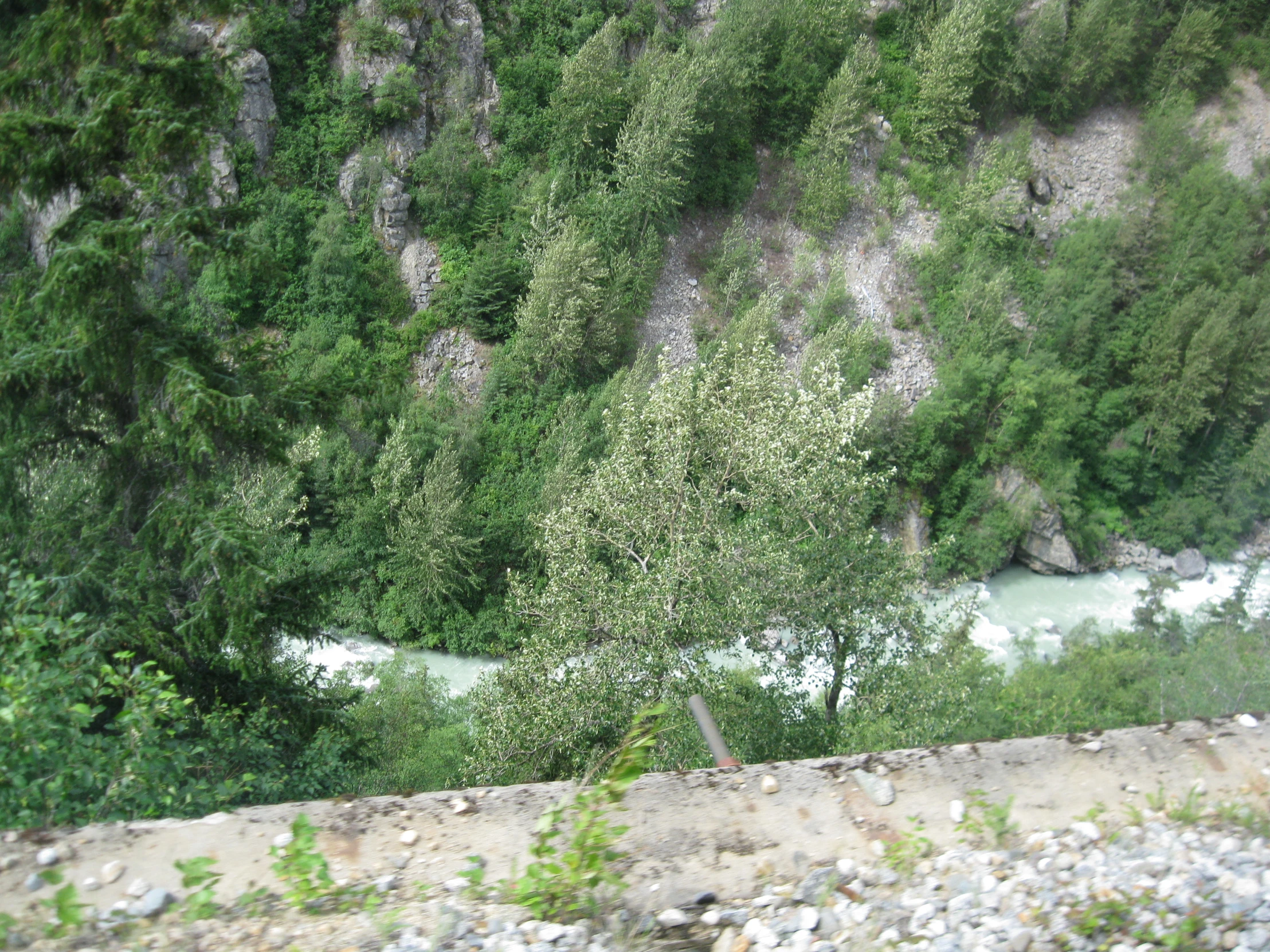 a road and river near a wooded area