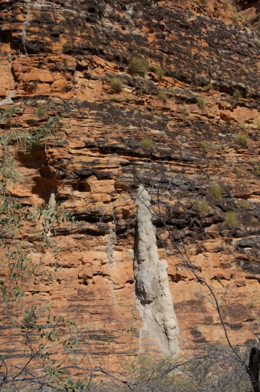 a rock formation with trees growing out of it