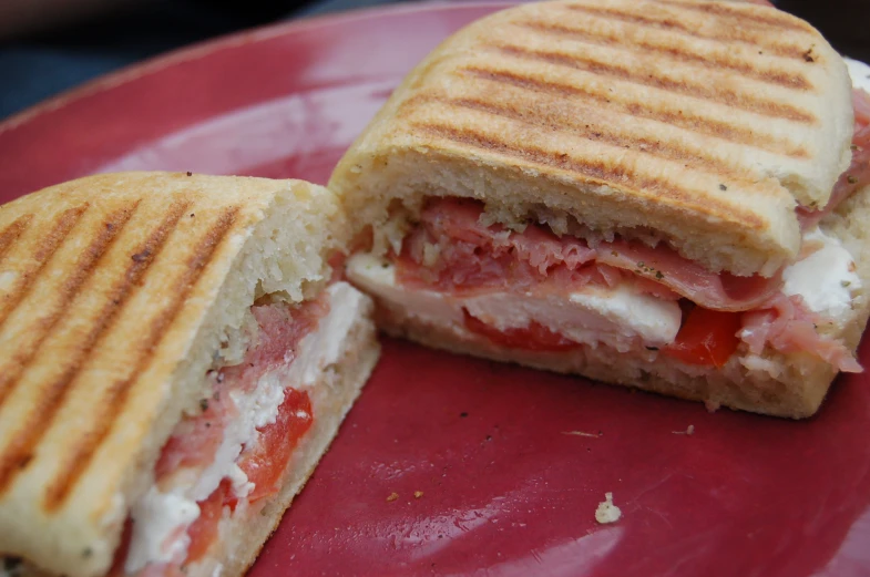 a panini sandwich on a plate ready to eat