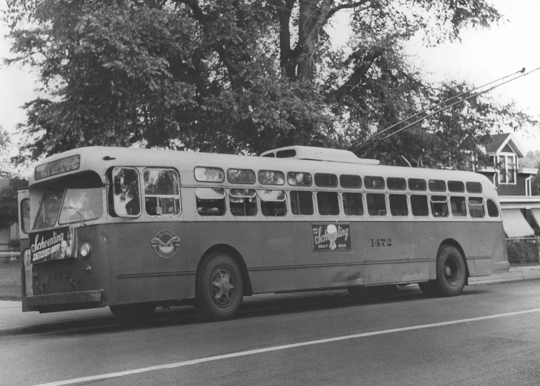 a bus parked next to a tree with a lot of passengers