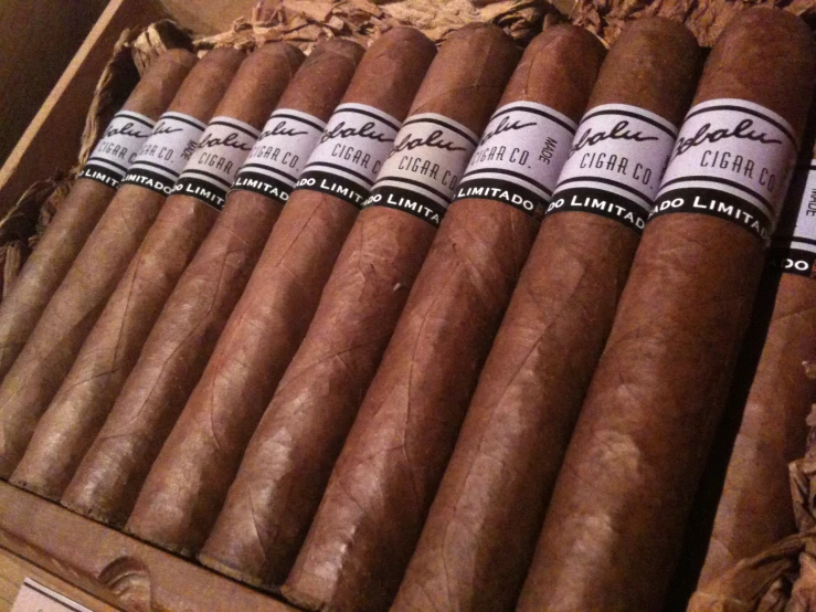 cigars arranged in the case for smoking