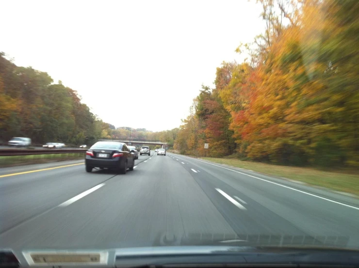 a car drives down a tree lined road