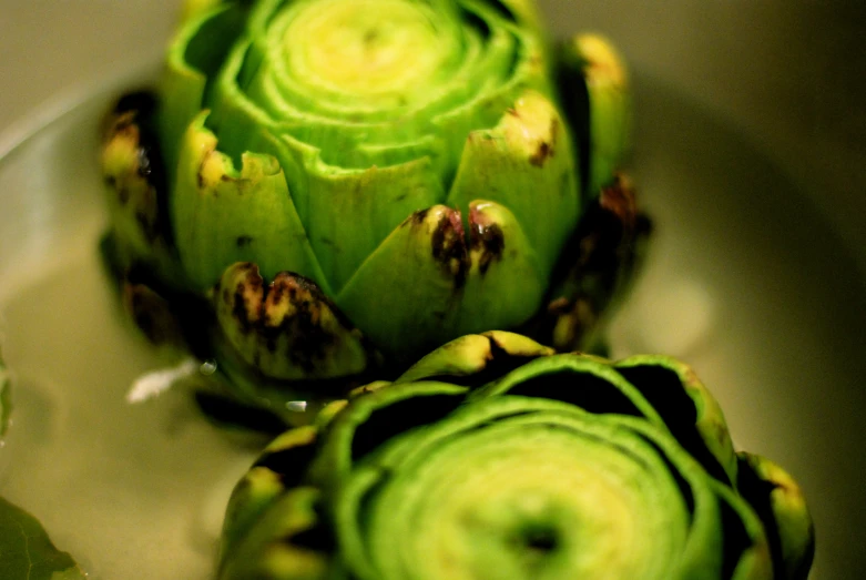 an up close view of a plant in a glass