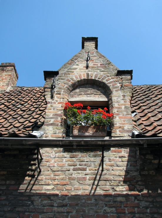 a window in a building with potted plants and windows